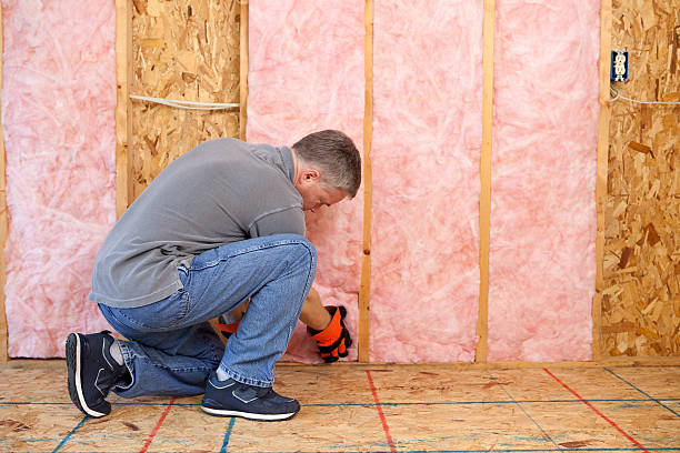 Best Residential Insulation in Waldron, AR
